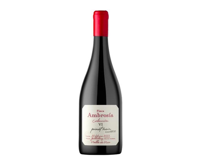 COLECCIÓN VI Pinot Noir